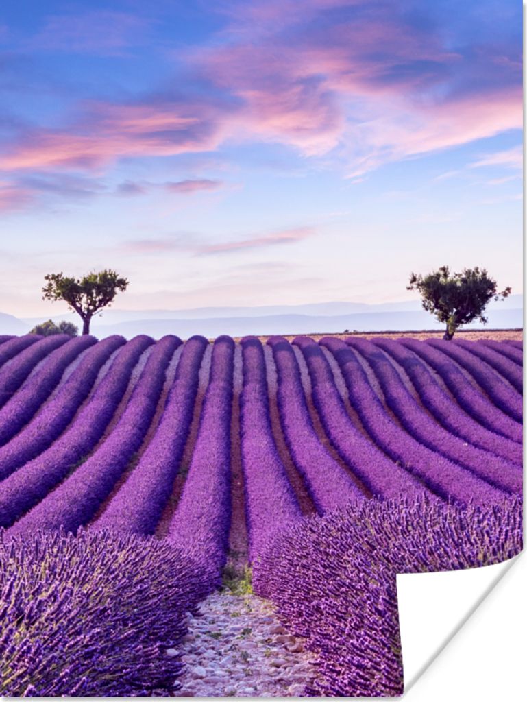 MuchoWow Poster Lavendel - Natur - Lila - Bäume - Blumen 90x120 cm - Wohnzimmer