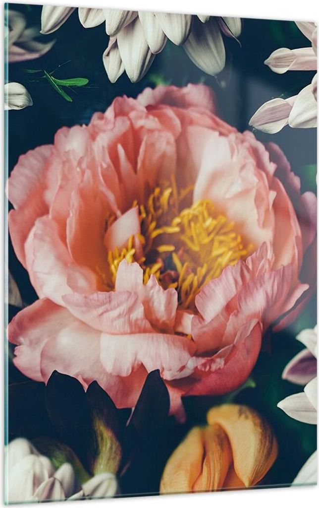 Bilder auf glas - Einteilig - Blumen Pfingstrose Holzig - 50x70cm - Glasbilder - Wandbilder - Bilder - zum Aufhängen bereit - Wanddekoration aus G...