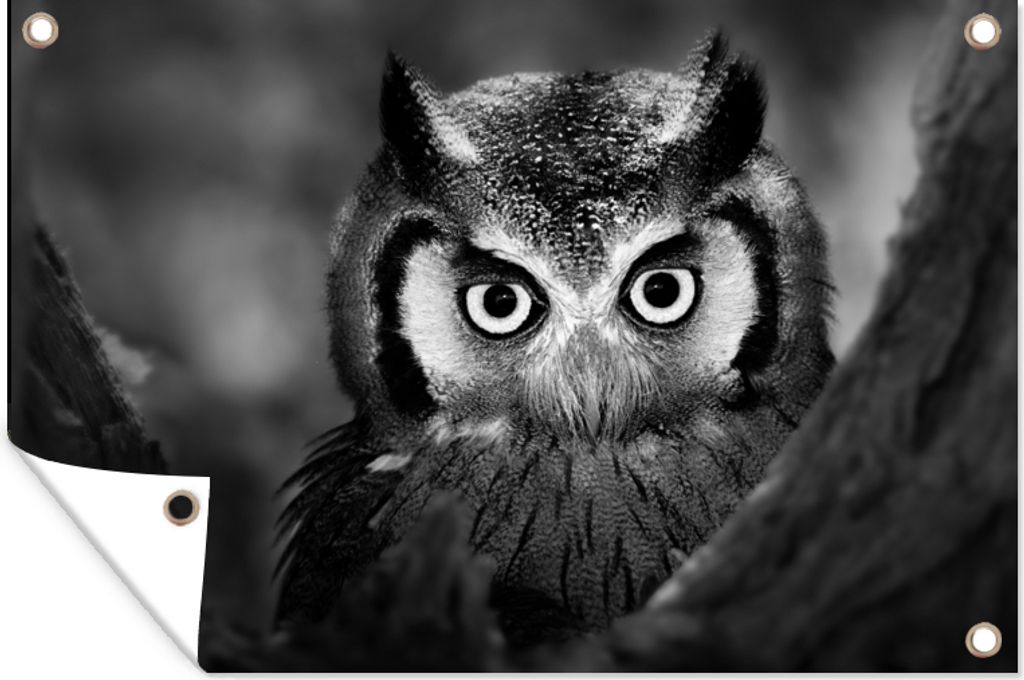 MuchoWow 60x40 cm Outdoor-Poster Gartendeko Sichtschutz Garten Poster für den Garten Vogel - Eule - Porträt - Schwarz - Weiß
