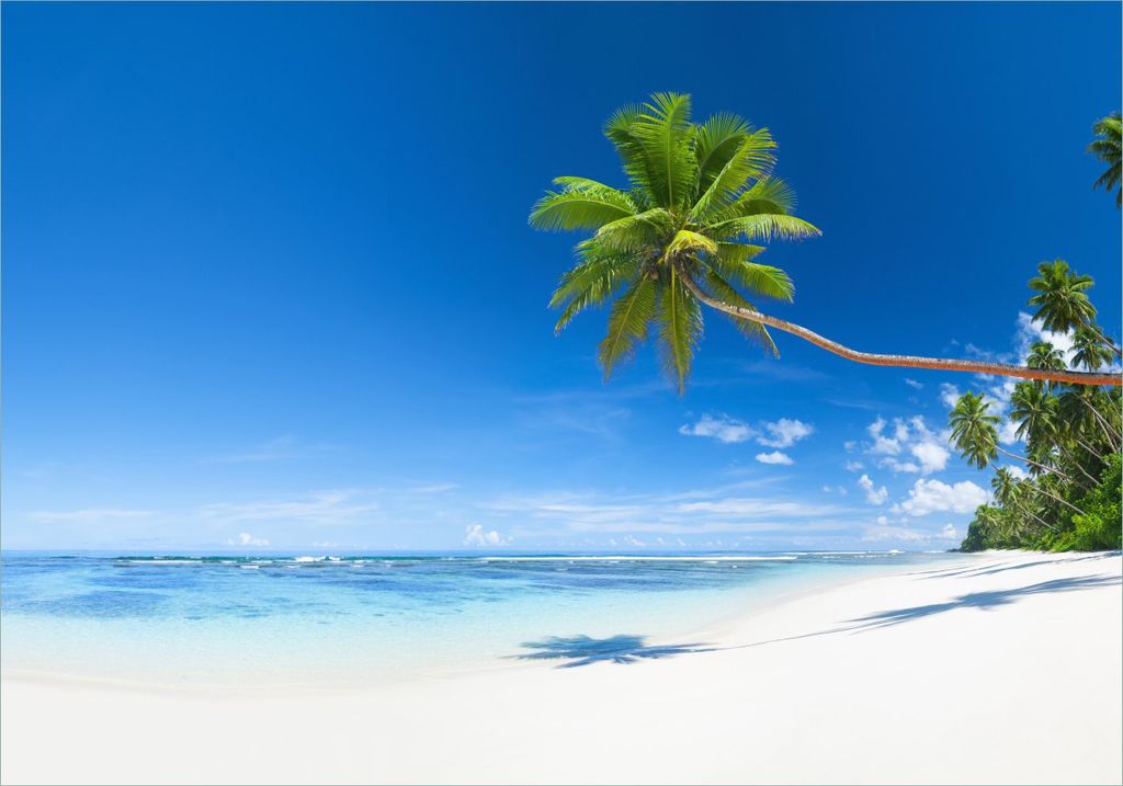 Wallario selbstklebendes Poster - Weißer Sandstrand am Meer - Ein Traum unter Palmen, Größe: 70 x 100 cm