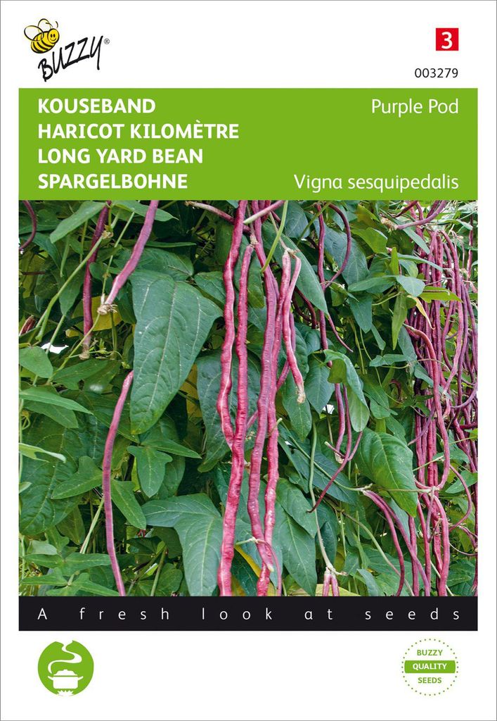 Spargelbohne Purple Pod | Bohnensamen von Buzzy Seeds Produktbild 