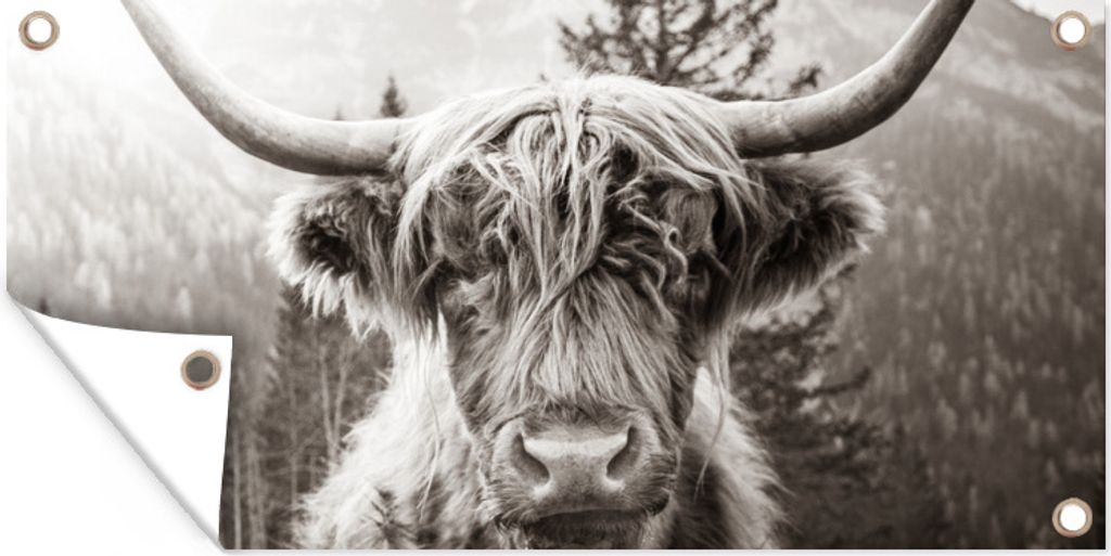 MuchoWow 60x30 cm Outdoor-Poster Gartendeko Sichtschutz Garten Poster für den Garten Kuh - Schottischer Highlander - Schwarz - Weiß
