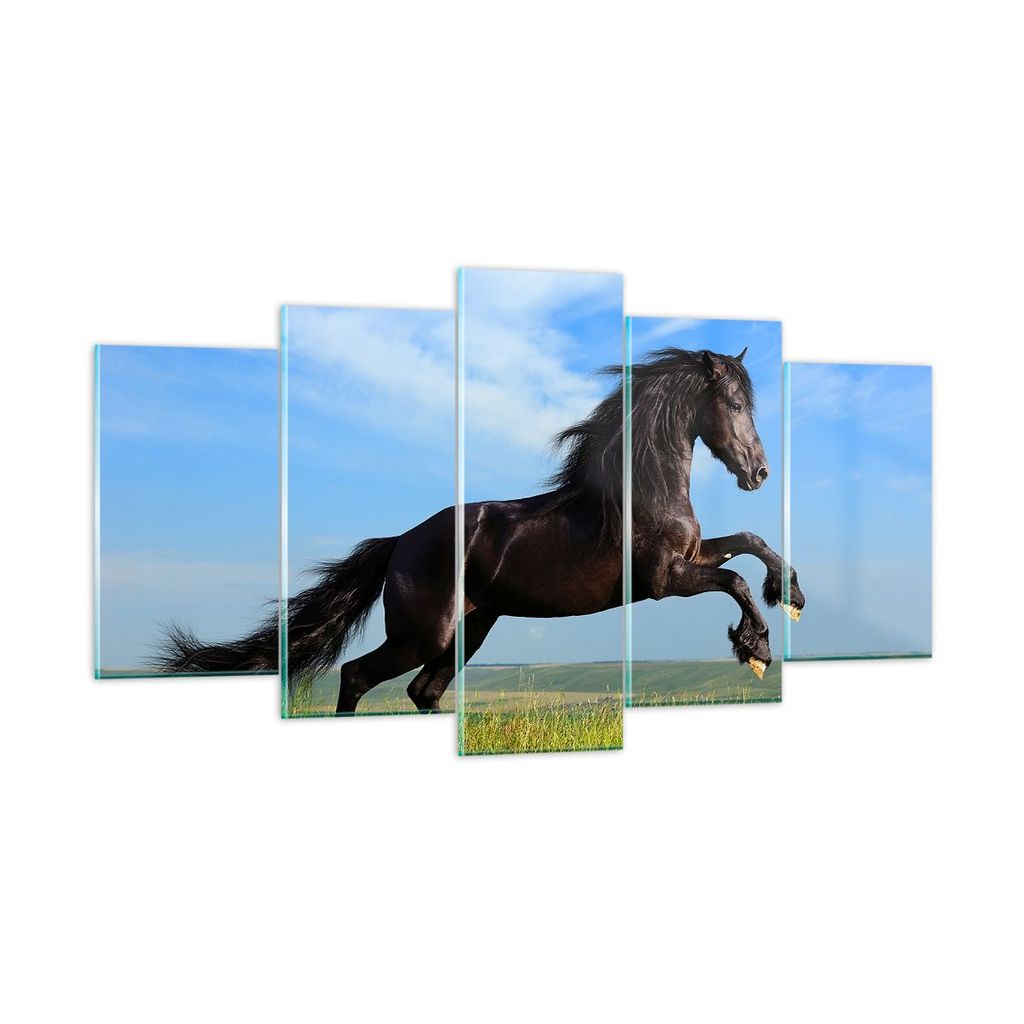 Bilder auf glas - Schwarzes Pferd Pferd Galopp - 160x85cm - Glasbilder - Wandbilder - Kunstdruck - zum Aufhängen bereit - Wanddekoration aus Glas ...