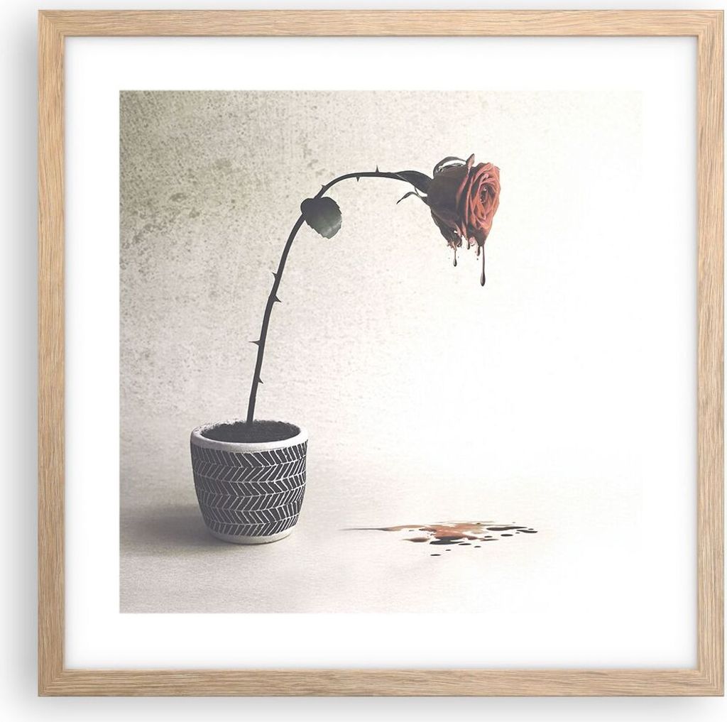 Gerahmtes Poster - Rahmen in heller Eiche - Symbol Rose Leiden - 40x40 cm - Wand Bild - Wanddeko - Wandbilder - Kunstposter - Wandposter - Bilderra...