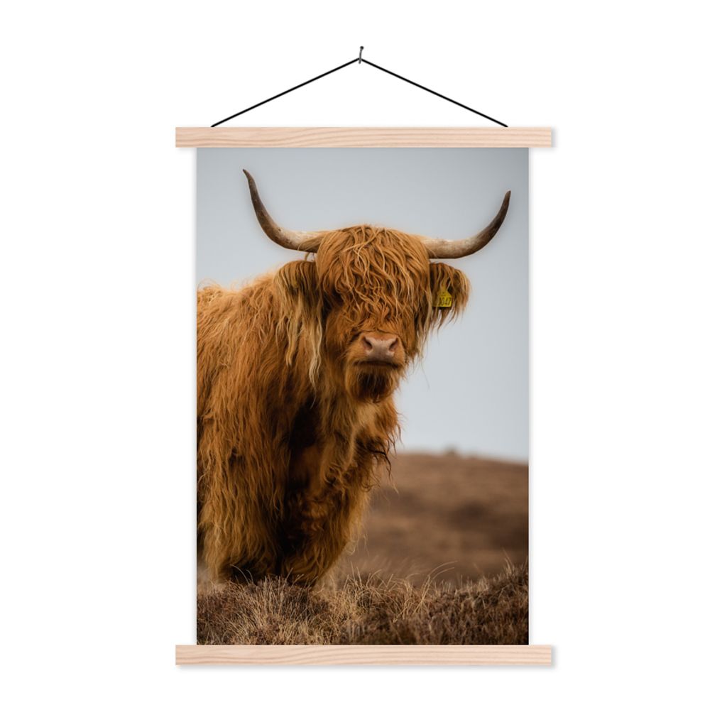 MuchoWow Textilposter Schottischer Highlander - Düne - Gras 40x60 cm mit holzfarbenen Rahmen - Poster