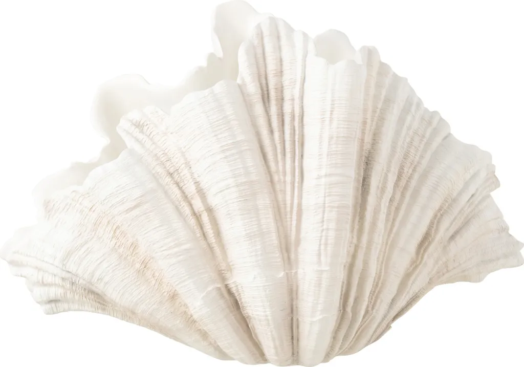 Vase blanc laine J-Line Coquille pour décoration de table et étagère