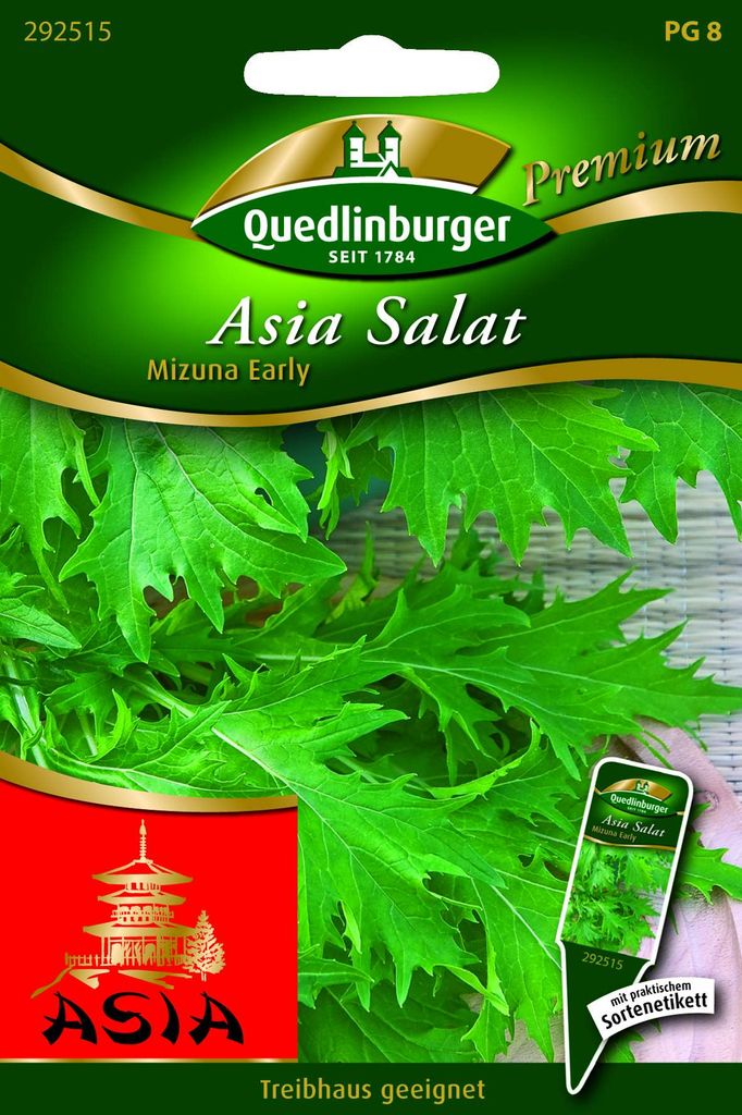 Mizuna Early von Quedlinburger Saatgut | Salatsamen von Produktbild 