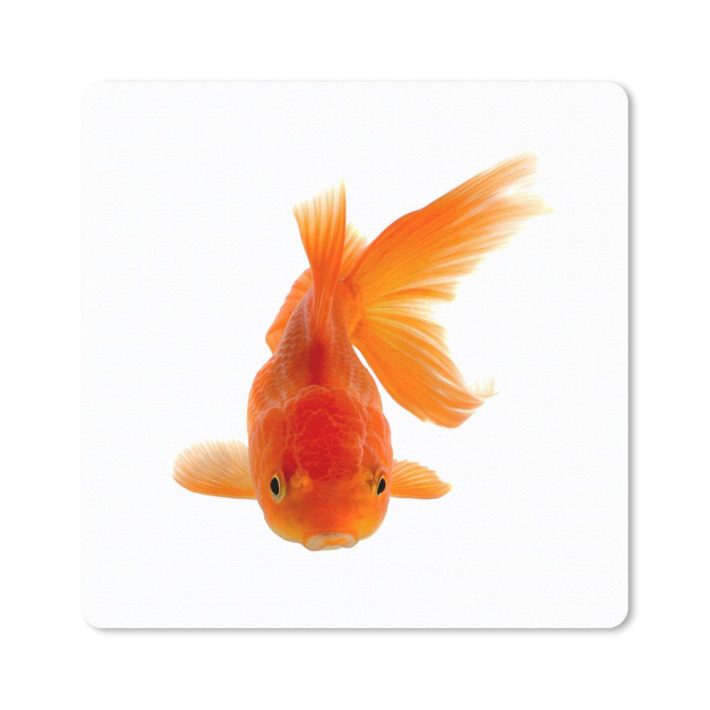 MuchoWow Mauspad Mousepad Goldfisch - Meerestiere - Orange 30x30 cm - Mousepads - Maus Mat - Pad - Mausunterlage - Gaming