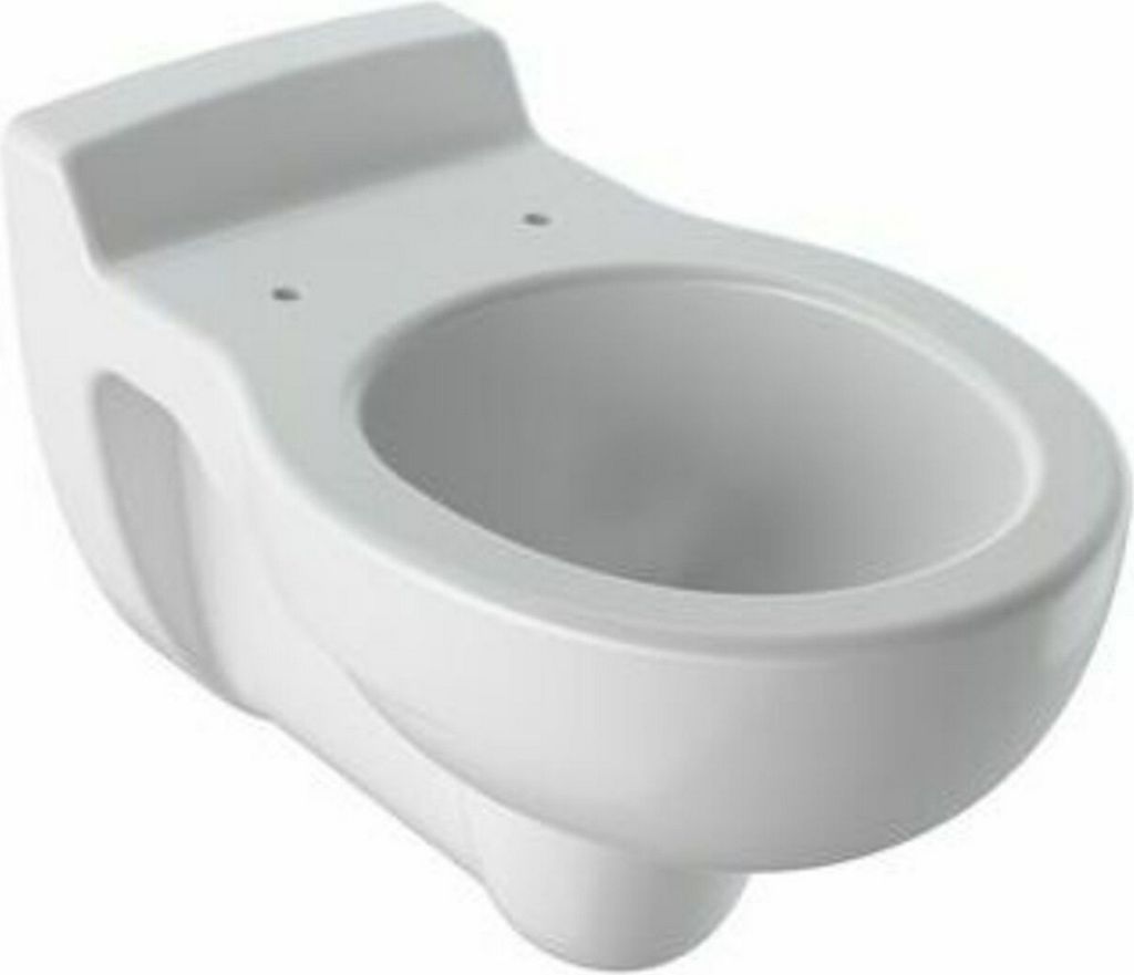 Geberit Wand-Tiefspül-WC Kind 535mm Ausladung weiß