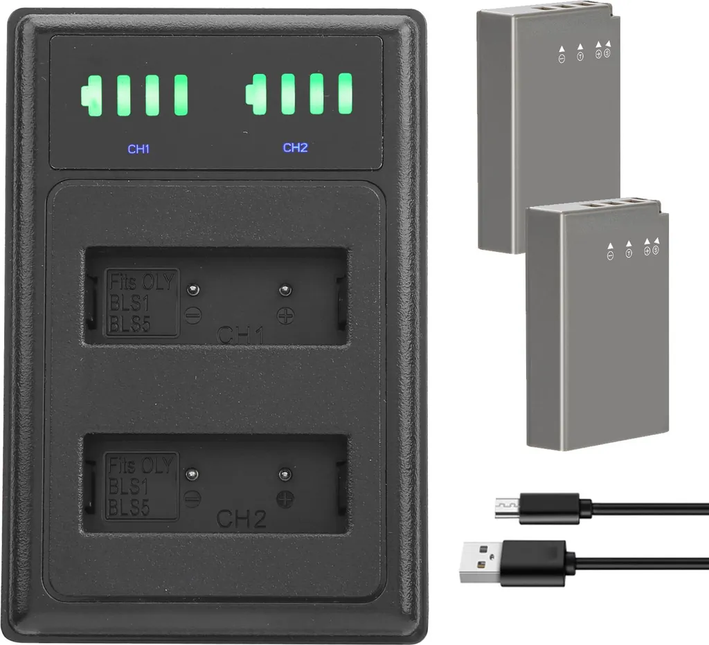 Sede di ricarica Doppio caricatore rapido Micro TypeC Display LCD per la batteria della fotocamera PSBLS1/BLS5