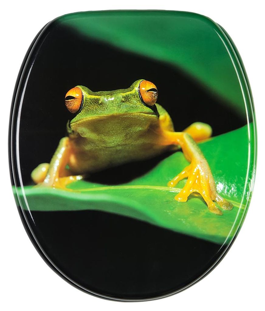 SANILO® WC-bril, kleur: groen (kikkergroen), direct van de Productafbeelding 