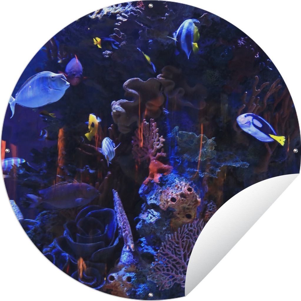 MuchoWow Gartenposter Outdoor-Poster Rund Tropisches Meerwasseraquarium Ø 120 cm Gartendeko Rundes Poster draußen