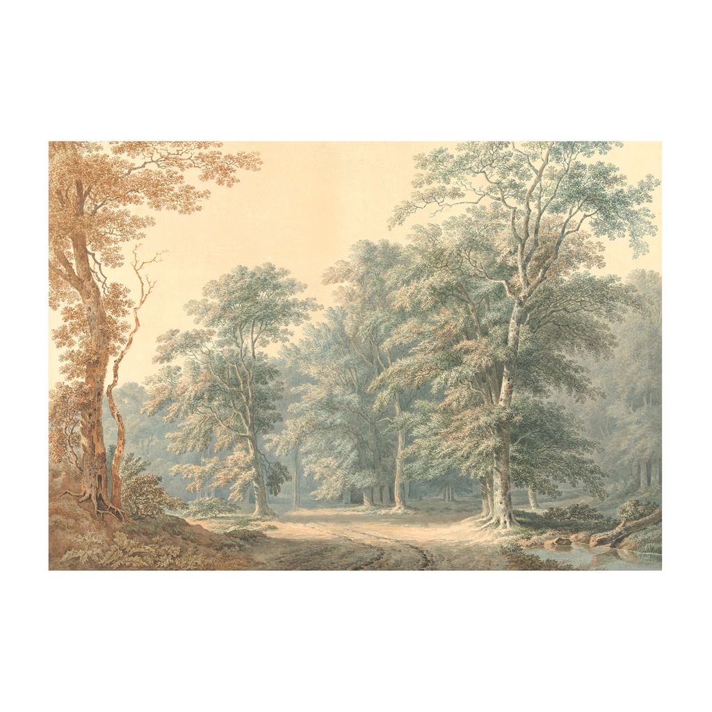 Superfresco Easy Fototapete Vlies Tapete Valley Wald 280x400 cm (8 Bahnen von 50cm) Wanddekoration Wandtapete Wohnzimmer Schlafzimmer Natur Mehrfarbig