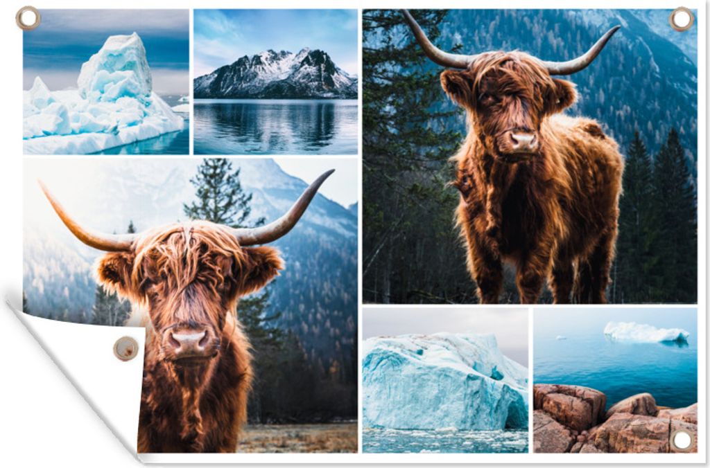 MuchoWow 60x40 cm Outdoor-Poster Gartendeko Sichtschutz Garten Poster für den Garten Schottischer Highlander - Collage - Winter