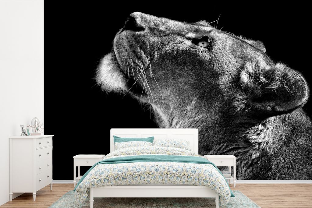 MuchoWow Fototapete für Wohnzimmer oder Schlafzimmer Wandtapete Vinyl Motivtapete Löwe - Tiere - Schwarz und weiß - 525x350 cm - Das Hintergru...