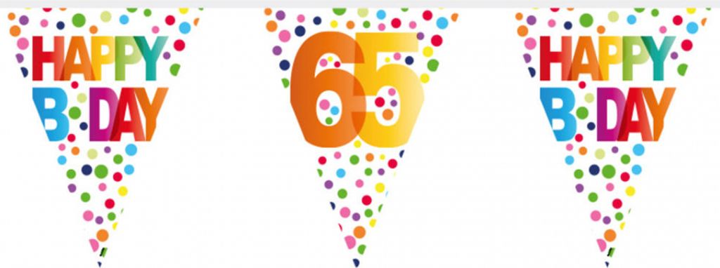 Bunte Happy Birthday Wimpelgirlande zum 65. Geburtstag 10m