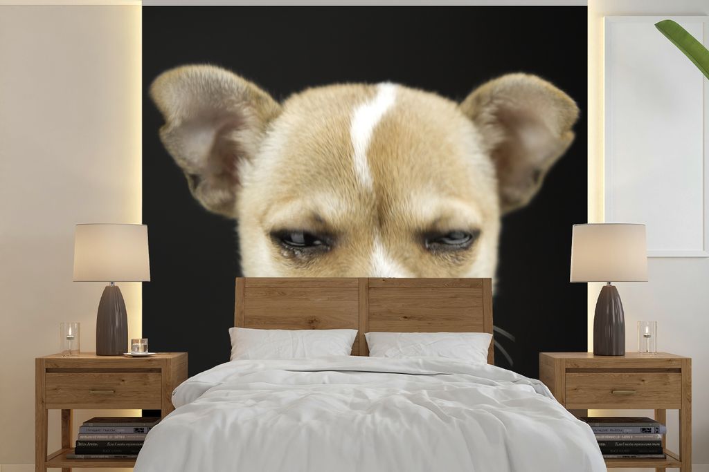 MuchoWow Fototapete für Wohnzimmer oder Schlafzimmer Wandtapete Vinyl Motivtapete Hund - Haustiere - Porträt - 350x350 cm