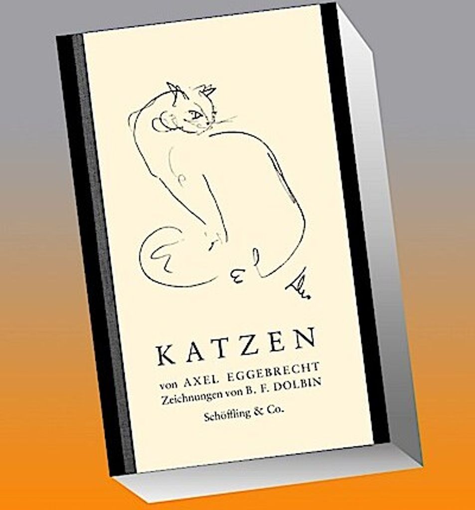 Katzen