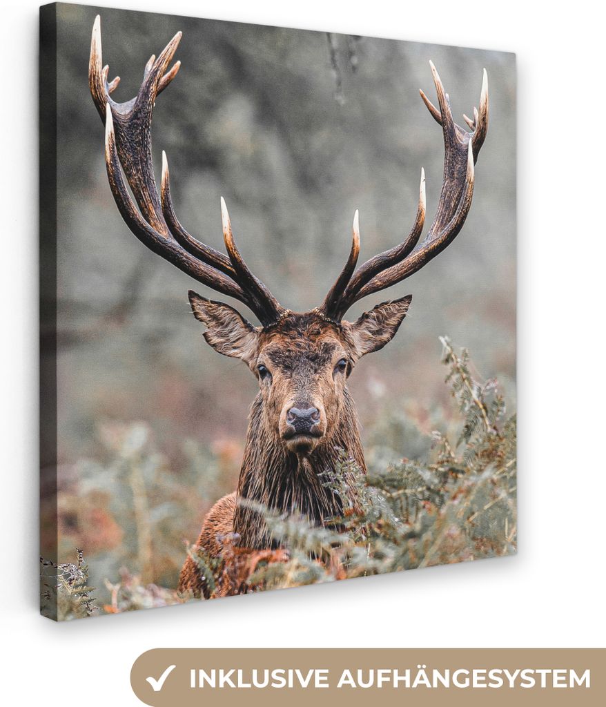 MuchoWow - Leinwandbilder - Hirsche - Natur - Herbst - Waldtiere, Wandbild, Wanddeko Bilder Wohnzimmer, 90x90 cm
