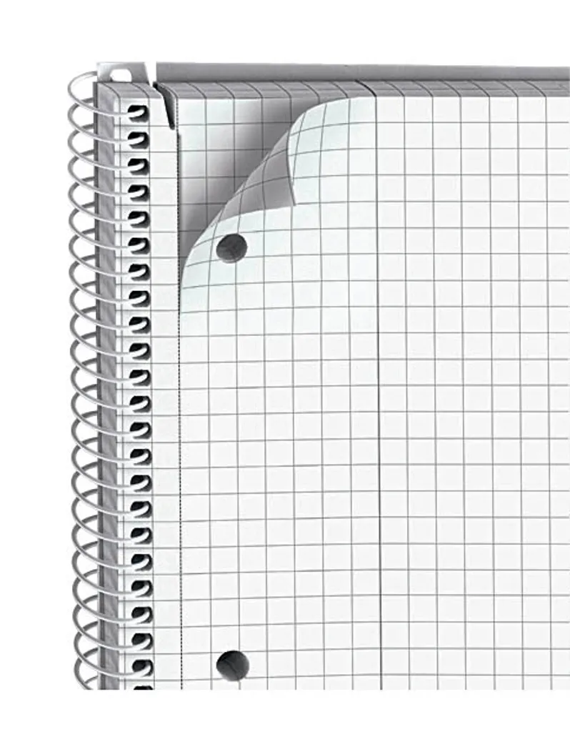 Ne perdez plus vos notes : Lot 5 Blocs A4 Quadrillés BRUNNEN 1067942 Pro - 5