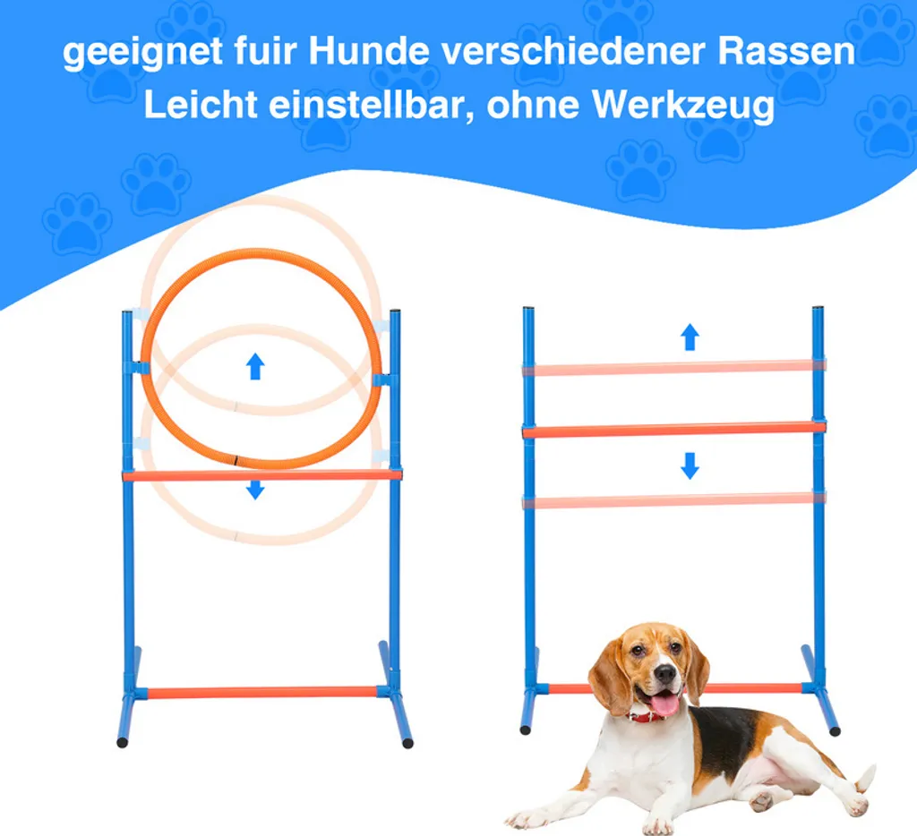 Set Agility Chien : Solution Contre l'Ennui et Manque d'Exercice Canin