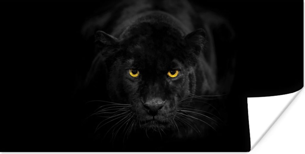 MuchoWow Poster Leopard - Augen - Schwarz 120x60 cm - Bild