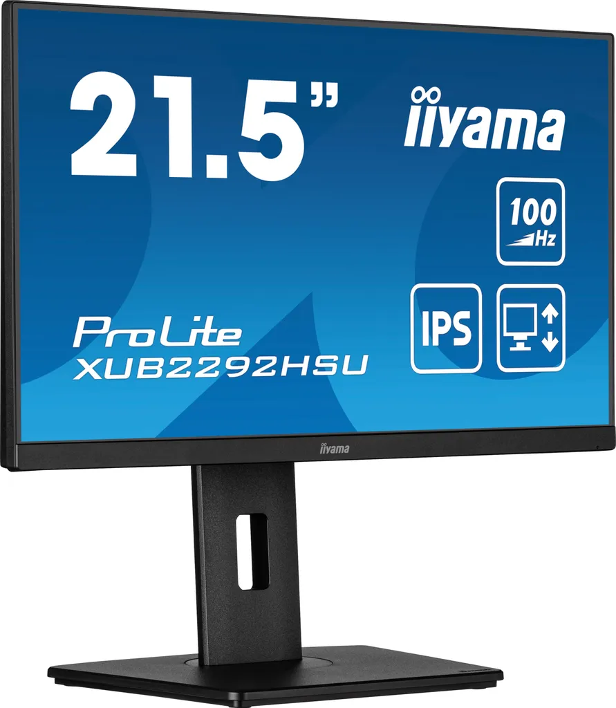 Réduisez la fatigue oculaire avec l'écran IIYAMA IPS réglable 22 pouces