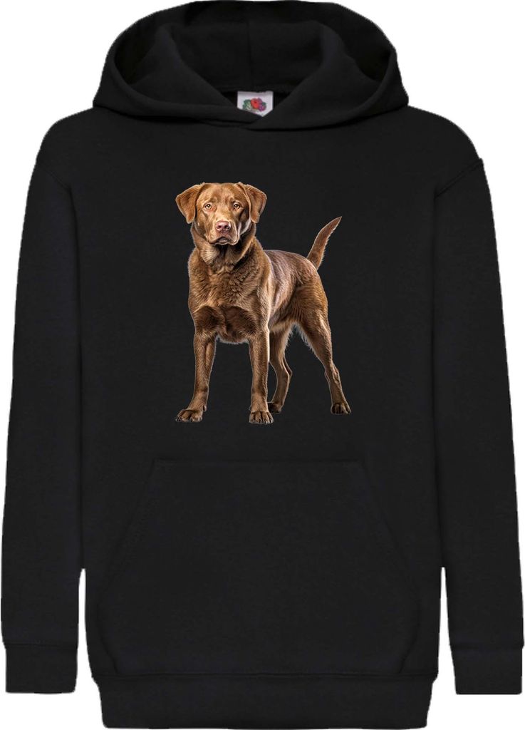Kinder Kapuzenpullover Dogs Breeds Chesapeake Bay Retriever Dog Breed 006, 7-8 Jahr - 128 / Schwarz