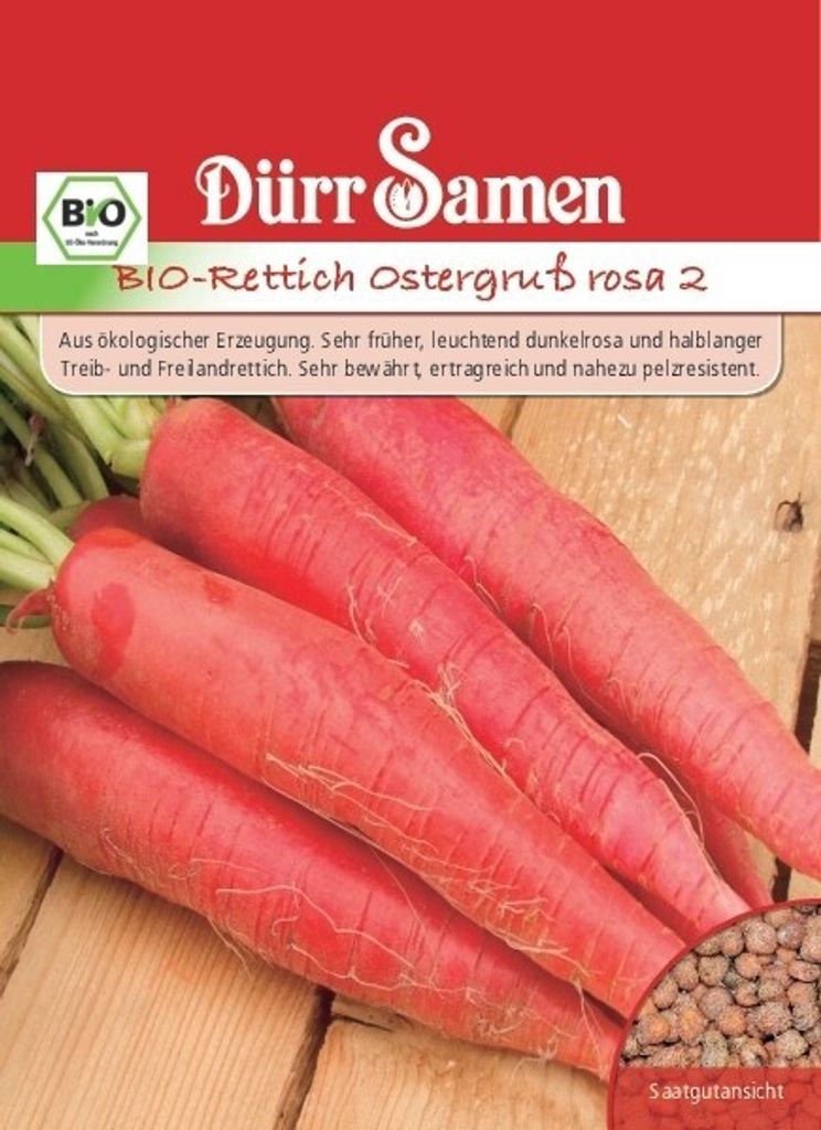 Rettich Ostergruß 2 rosa | -Rettichsamen von Dürr Samen