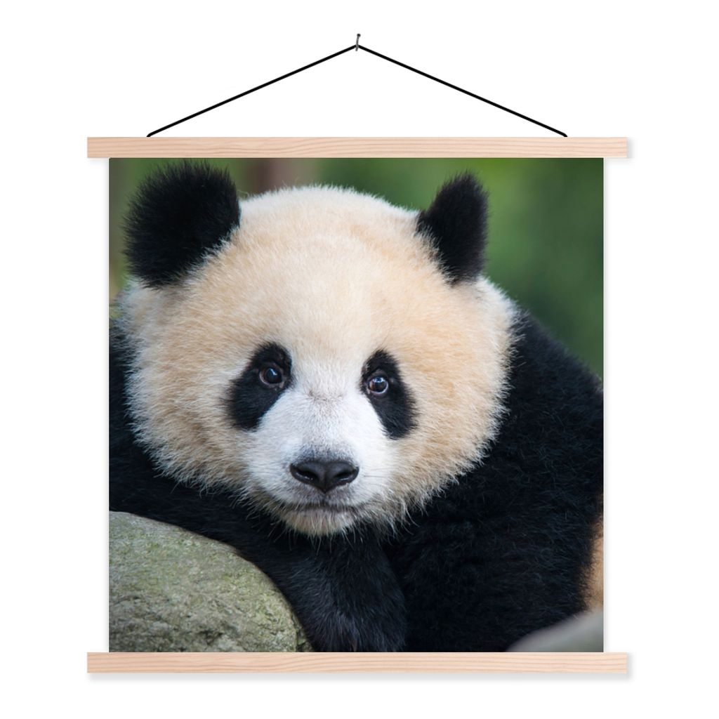 MuchoWow Textilposter Panda - Wildtiere - Porträt - Stein 120x120 cm mit holzfarbenen Rahmen - Textil-Poster