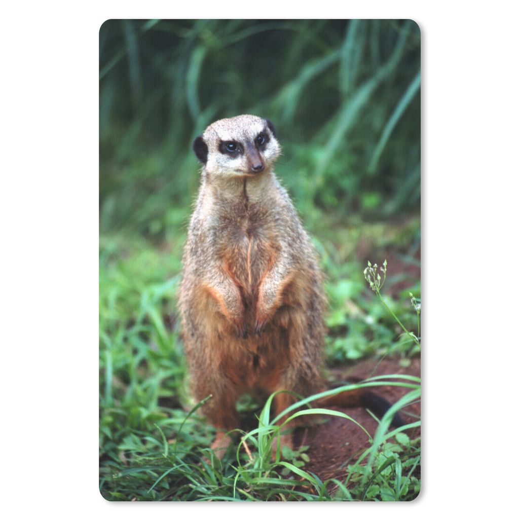 MuchoWow Mauspad Mousepad Gras - Erdmännchen - Tier 18x27 cm - Mousepads - Maus Mat - Pad - Mausunterlage