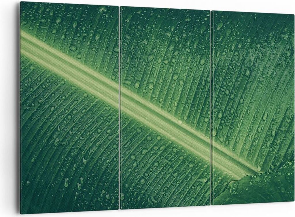 Bild auf Leinwand - Leinwandbild - 3 Teile - Makro Blatt Tropfen - 165x110cm - Wand Bild - Wanddeko - Wandbilder - Leinwanddruck - Bilder - Wanddek...