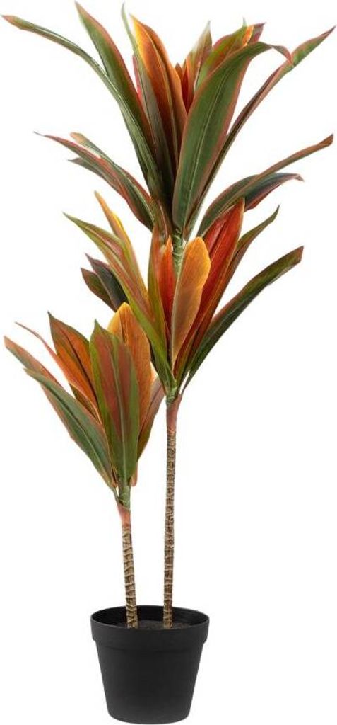 HOMLA TROPISCHE ZONE Kunstpflanze Dracaena 90 cm Produktbild 