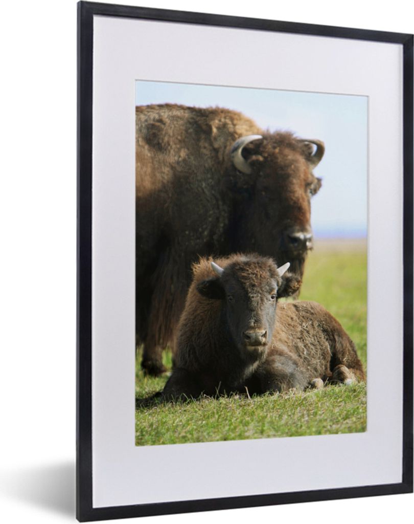 MuchoWow MuchoWow Gerahmtes Poster Büffel - Gras - Kalb 30x40 cm - Poster mit zchwarzem Bilderrahmen - Wandposter Schlafzimmer