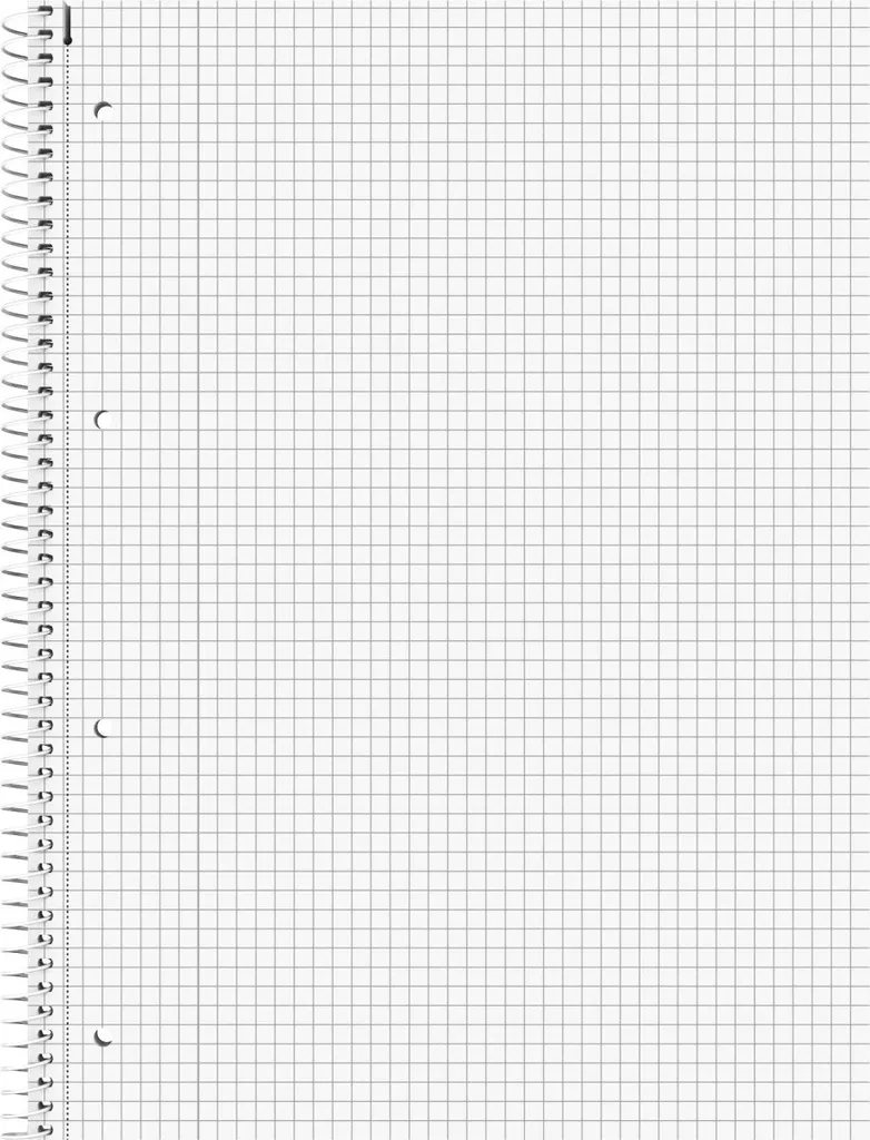 Ne perdez plus vos notes : Lot 5 Blocs A4 Quadrillés BRUNNEN 1067942 Pro - 2