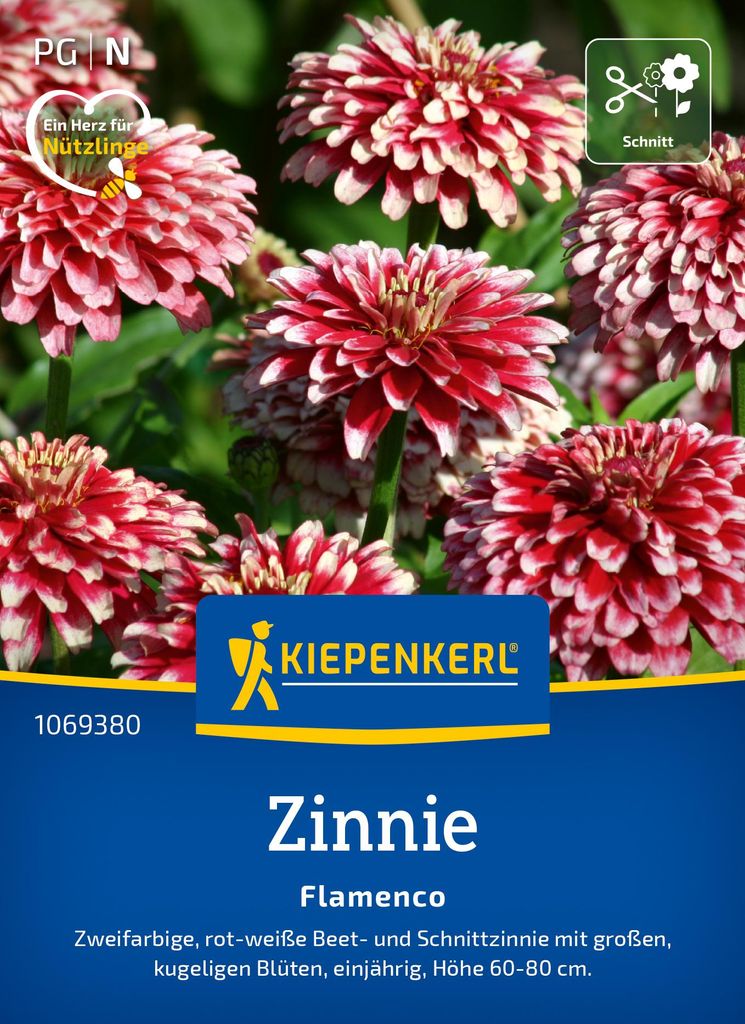 Artikelbild 2 von 'Zinnie Flamenco' aus der Kategorie Zinniensamen
