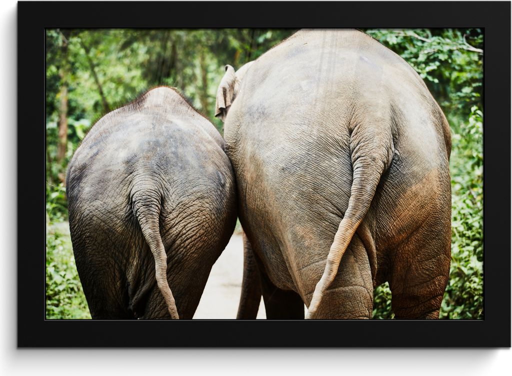 MuchoWow MuchoWow Gerahmtes Poster Elefant - Tiere - Grau - Natur 30x20 cm - Poster mit zchwarzem Bilderrahmen - Kunstdruck - Bild-Poster