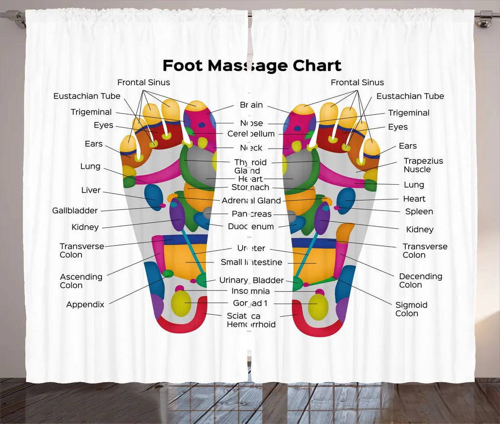 ABAKUHAUS Rideau d'Anatomie Pieds Multicolore 280x225cm avec Crochets