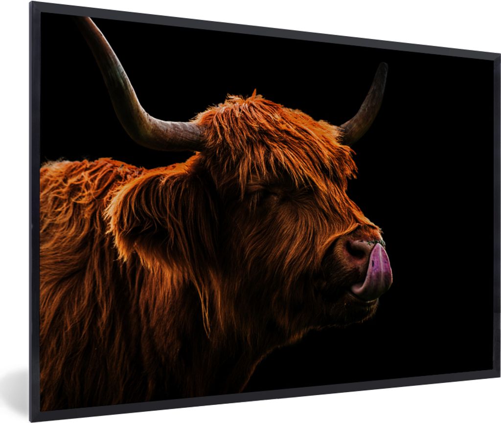 MuchoWow MuchoWow Gerahmtes Poster Schottisches Hochlandrind - Zunge - Nase 90x60 cm - Poster mit zchwarzem Bilderrahmen - Fotorahmen - Foto-Pl...