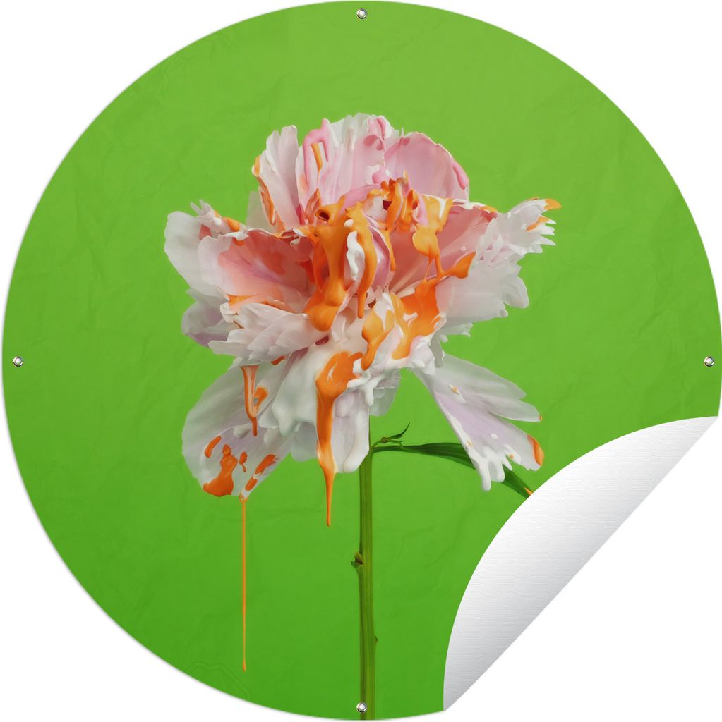 MuchoWow Gartenposter Outdoor-Poster Rund Blume - Farbe - Farben Ø 150 cm Gartendeko Rundes Poster draußen