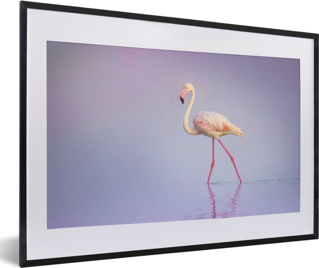 MuchoWow MuchoWow Gerahmtes Poster Flamingo - Wasser - Rosa 60x40 cm - Poster mit zchwarzem Bilderrahmen - Schlafzimmer - Plakat in Rahmen - Dr...