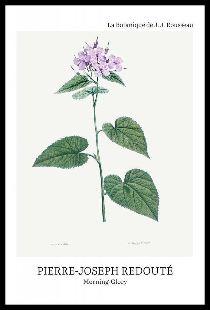 Plakat 40x60cm Design Morgenröte, Redoute Vintage für das Wohnzimmer