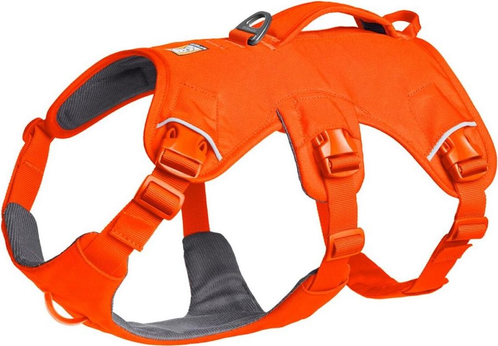 Ruffwear Web Master Hundegeschirr