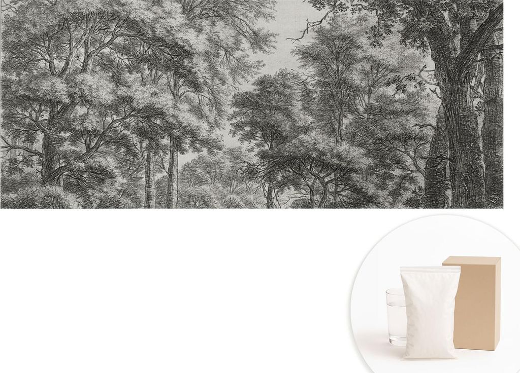 Fototapete - Wandbilder für Wohnzimmer - 208x146 cm - Dekorative Wandfolie - Modernes Design für Wanddekoration - Tapeten für Innenräume - Wald...