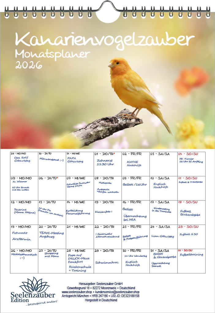 Kanarienvogelzauber Planer DIN A4 Kalender für 2026 Kanarienvögel - Seelenzauber