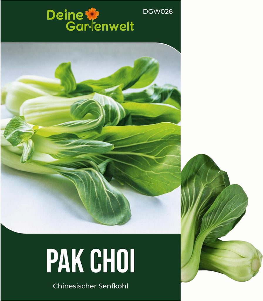 Pak Choi Chinesischer Senfkohl Samen - Brassica rapa - Produktbild 