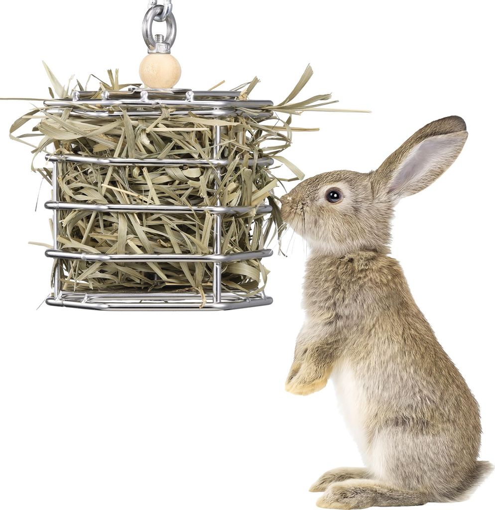 Navaris Heuraufe Kaninchen und Meerschweinchen - hängende Heuraufe für Meerschweinchen - Futterraufe für kleine Haustiere aus Edelstahl - Heu