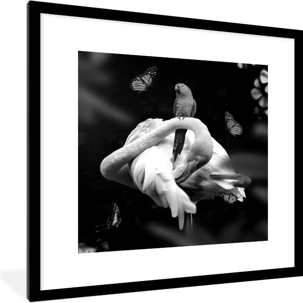 MuchoWow Gerahmtes Poster Flamingo - Tiere - Natur - Schwarz - Weiß 40x40 cm - Poster mit Schwarzem Bilderrahmen Wandposter Rahmen Foto Bilder -...