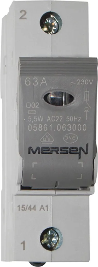 Interrupteur de rupture Neoswitch 1xD02 63A 230V 1 pôle 05861.063000