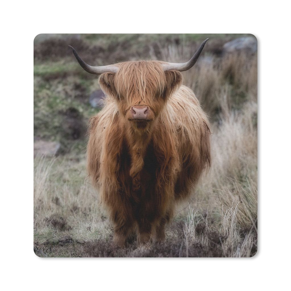 MuchoWow Mauspad Mousepad Schottischer Hochländer - Moos - Gras 30x30 cm - Mousepads - Maus Mat - Pad - Mausunterlage - Gaming
